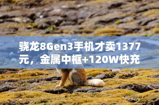 骁龙8Gen3手机才卖1377元，金属中框+120W快充，幸福来得很突然！