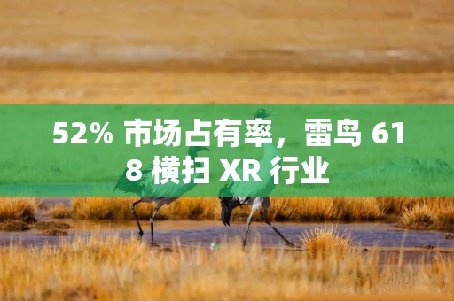 52% 市场占有率，雷鸟 618 横扫 XR 行业