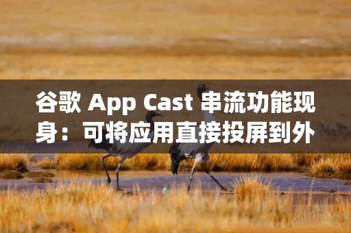 谷歌 App Cast 串流功能现身：可将应用直接投屏到外部显示器