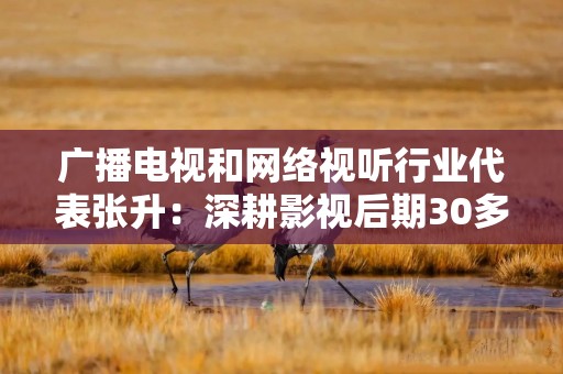 广播电视和网络视听行业代表张升：深耕影视后期30多年，见证从胶片到AI的进步