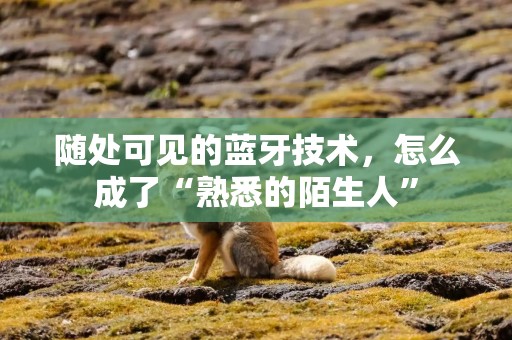 随处可见的蓝牙技术，怎么成了“熟悉的陌生人”