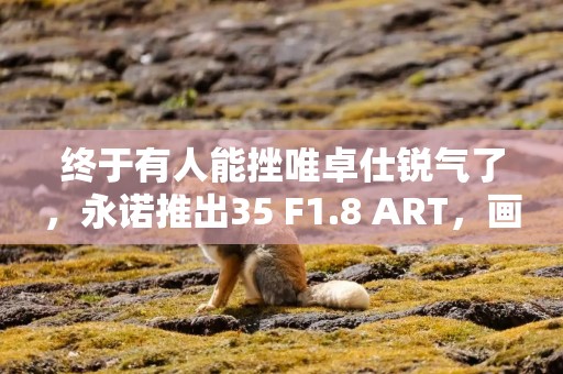 终于有人能挫唯卓仕锐气了，永诺推出35 F1.8 ART，画质大幅提升