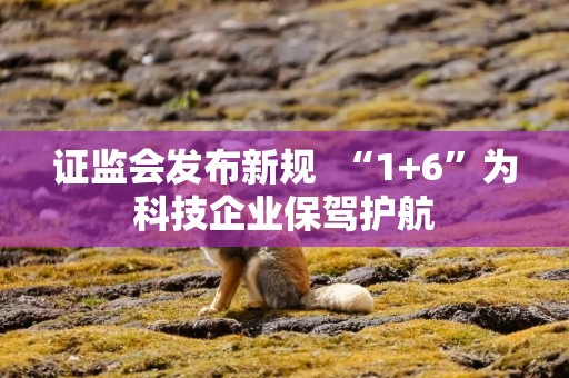 证监会发布新规  “1+6”为科技企业保驾护航