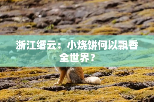 浙江缙云：小烧饼何以飘香全世界？