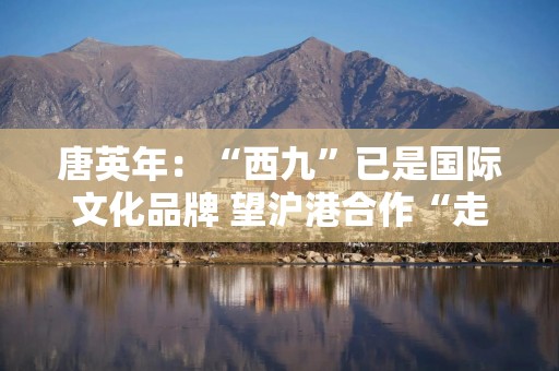唐英年：“西九”已是国际文化品牌 望沪港合作“走出去”