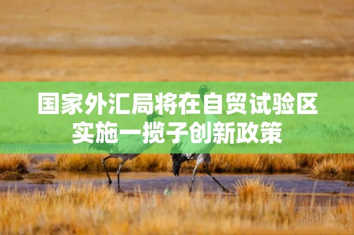 国家外汇局将在自贸试验区实施一揽子创新政策