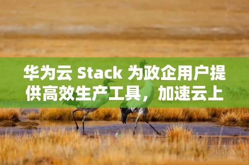 华为云 Stack 为政企用户提供高效生产工具，加速云上数智跃迁