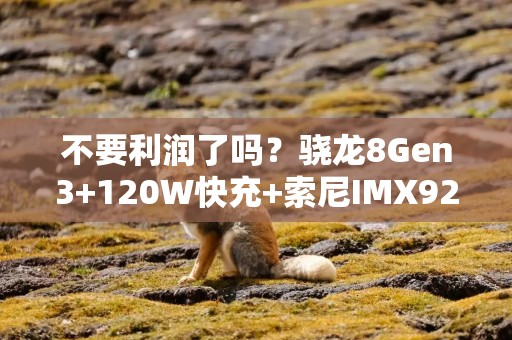 不要利润了吗？骁龙8Gen3+120W快充+索尼IMX921，低至1503元起