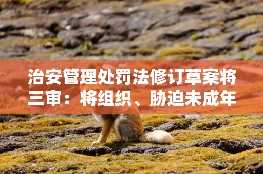 治安管理处罚法修订草案将三审：将组织、胁迫未成年人从事陪酒等纳入处罚范畴