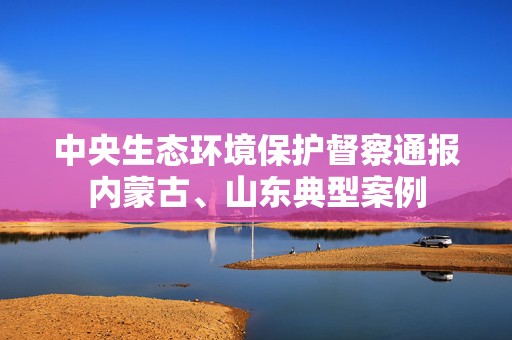 中央生态环境保护督察通报内蒙古、山东典型案例