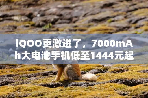 iQOO更激进了，7000mAh大电池手机低至1444元起，跑分可达242万