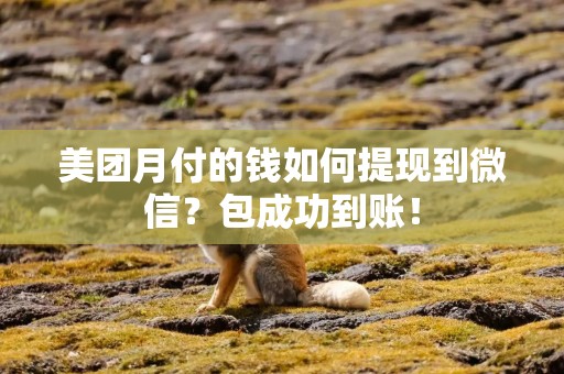 美团月付的钱如何提现到微信？包成功到账！