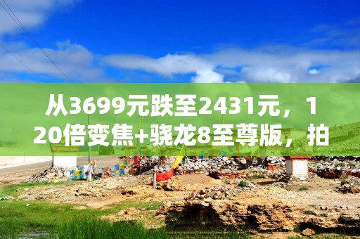 从3699元跌至2431元，120倍变焦+骁龙8至尊版，拍照手机彻底清仓
