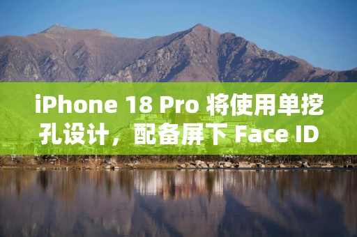 iPhone 18 Pro 将使用单挖孔设计，配备屏下 Face ID