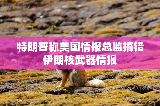 特朗普称美国情报总监搞错伊朗核武器情报