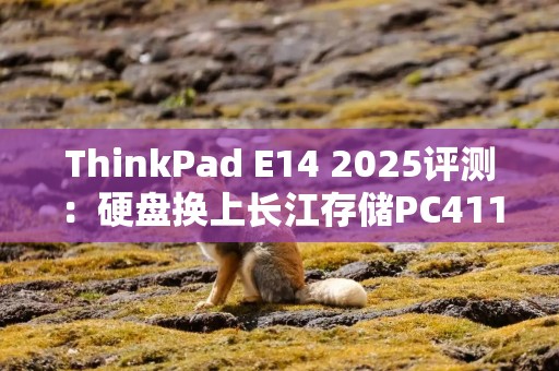 ThinkPad E14 2025评测：硬盘换上长江存储PC411，性能续航双提升