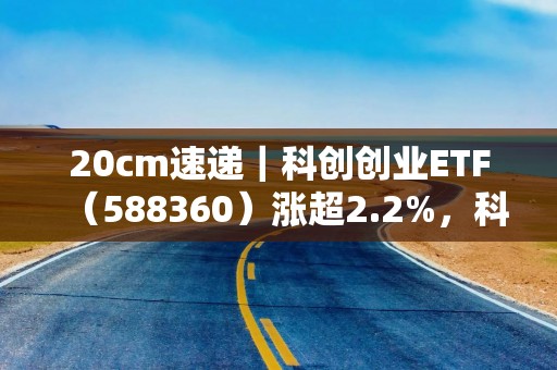 20cm速递｜科创创业ETF（588360）涨超2.2%，科技企业IPO回暖或提振板块估值