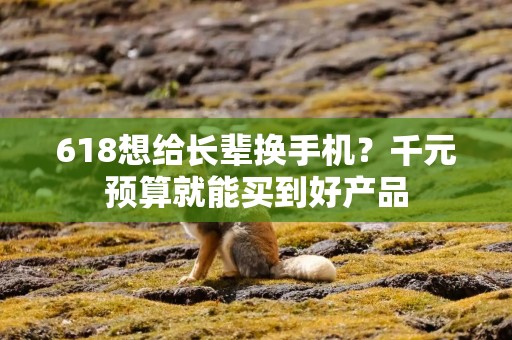618想给长辈换手机？千元预算就能买到好产品