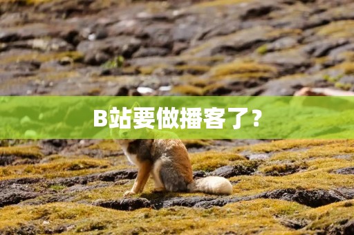 B站要做播客了？