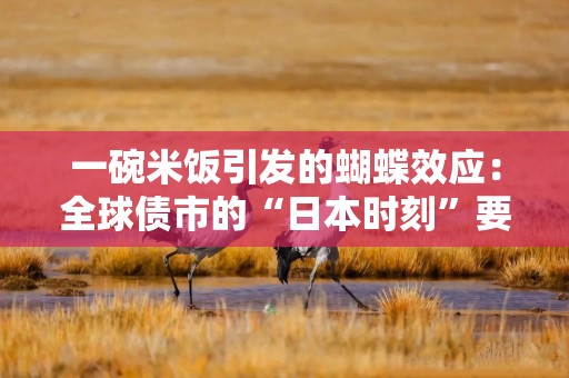 一碗米饭引发的蝴蝶效应：全球债市的“日本时刻”要来了吗？