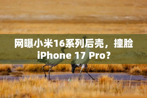 网曝小米16系列后壳，撞脸iPhone 17 Pro？