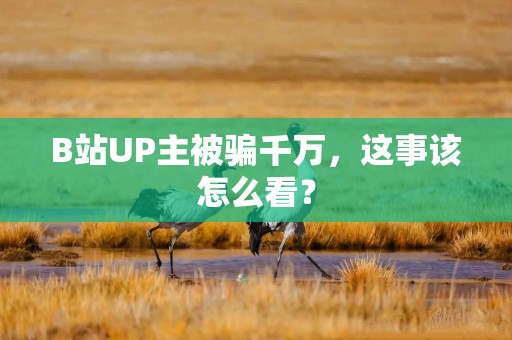 B站UP主被骗千万，这事该怎么看？