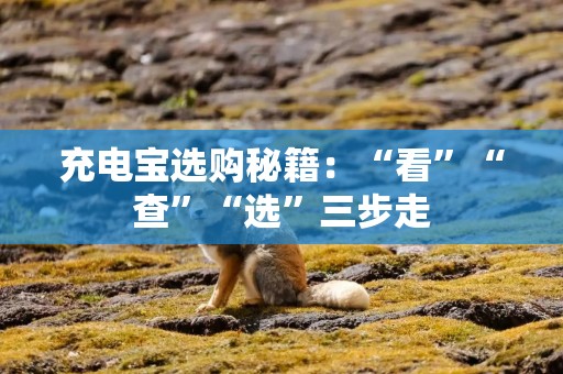 充电宝选购秘籍：“看”“查”“选”三步走
