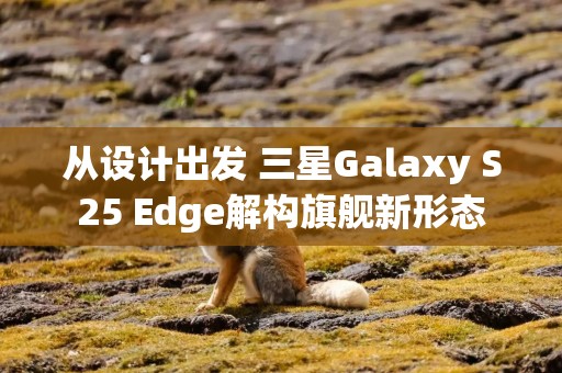 从设计出发 三星Galaxy S25 Edge解构旗舰新形态