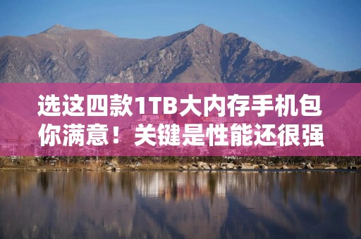 选这四款1TB大内存手机包你满意！关键是性能还很强
