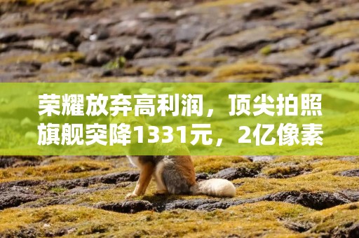 荣耀放弃高利润，顶尖拍照旗舰突降1331元，2亿像素+16GB+512GB
