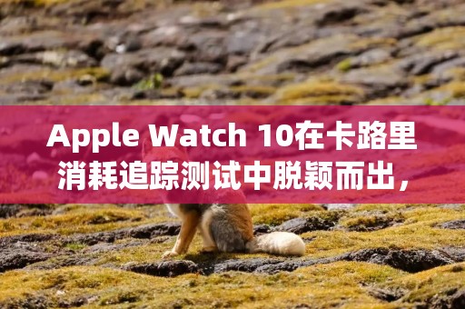 Apple Watch 10在卡路里消耗追踪测试中脱颖而出，准确性高达 92%