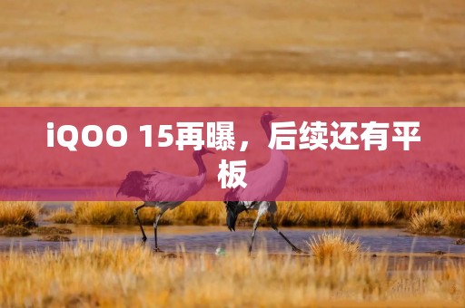 iQOO 15再曝，后续还有平板