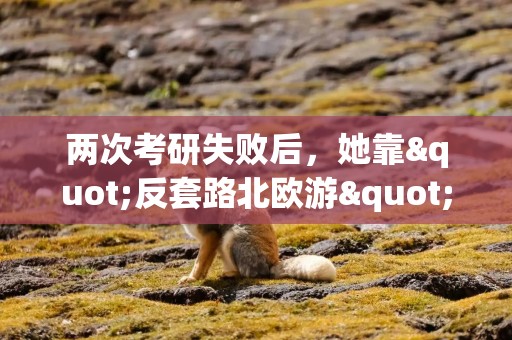 两次考研失败后，她靠"反套路北欧游"年入百万