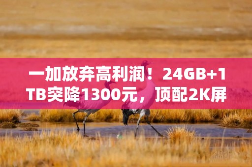 一加放弃高利润！24GB+1TB突降1300元，顶配2K屏拍照旗舰加速清仓