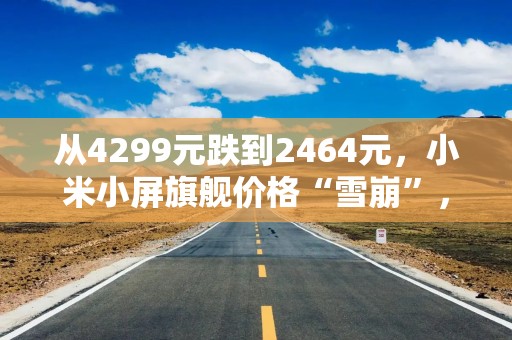 从4299元跌到2464元，小米小屏旗舰价格“雪崩”，太疯狂了