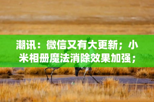 潮讯：微信又有大更新；小米相册魔法消除效果加强；Epic免费送262元游戏；《彩虹六号》国服开启预约