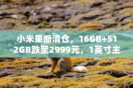小米果断清仓，16GB+512GB跌至2999元，1英寸主摄+2K屏+IP68防水