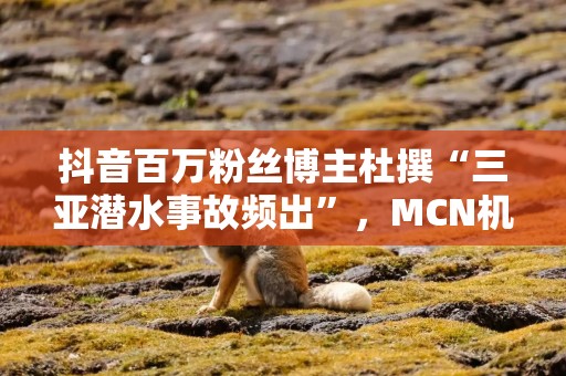 抖音百万粉丝博主杜撰“三亚潜水事故频出”，MCN机构致歉