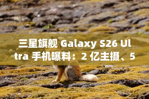 三星旗舰 Galaxy S26 Ultra 手机曝料：2 亿主摄、5000mAh 电池