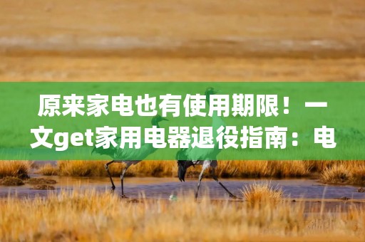 原来家电也有使用期限！一文get家用电器退役指南：电饭煲5年就该换了