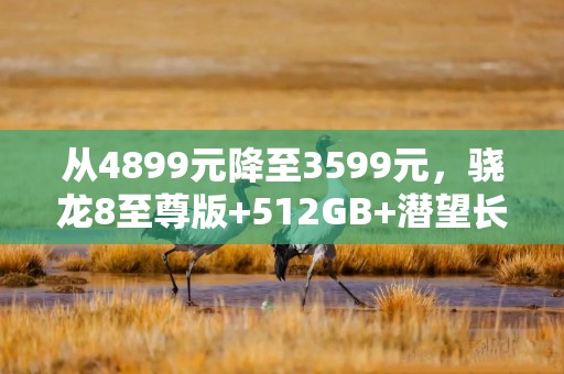从4899元降至3599元，骁龙8至尊版+512GB+潜望长焦+2K屏，等到了