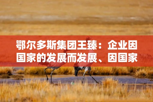 鄂尔多斯集团王臻：企业因国家的发展而发展、因国家的强大而强大
