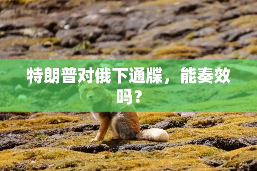 特朗普对俄下通牒，能奏效吗？