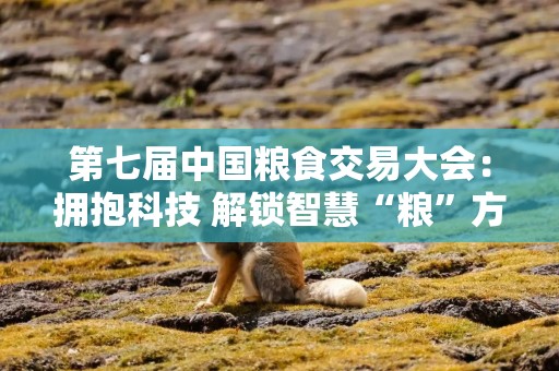 第七届中国粮食交易大会：拥抱科技 解锁智慧“粮”方