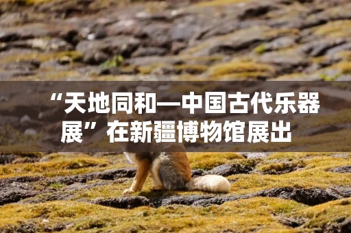 “天地同和—中国古代乐器展”在新疆博物馆展出