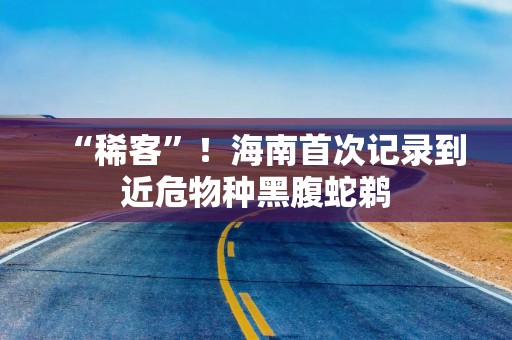 “稀客”！海南首次记录到近危物种黑腹蛇鹈