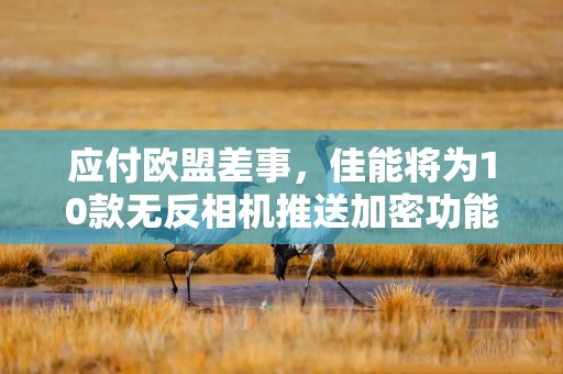 应付欧盟差事，佳能将为10款无反相机推送加密功能