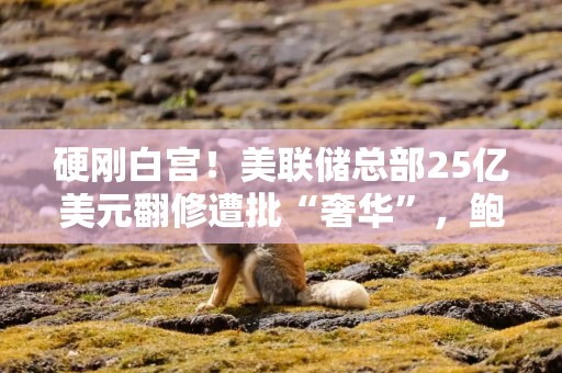 硬刚白宫！美联储总部25亿美元翻修遭批“奢华”，鲍威尔回应：工程合规，NCPC无权插手！