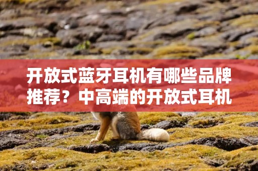 开放式蓝牙耳机有哪些品牌推荐？中高端的开放式耳机推荐