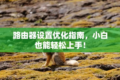 路由器设置优化指南，小白也能轻松上手！